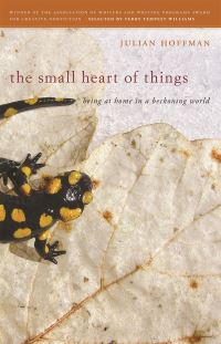 Book Cover for The Small Heart of Things by Julian Hoffman