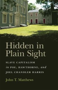 Book Cover for Hidden in Plain Sight by John T Matthews