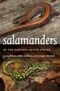 Book Cover for Salamanders of the Eastern United States by Lawrence A Wilson, Whit Gibbons, Joseph C Mitchell