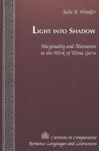 Book Cover for Light Into Shadow by Julie A Winkler