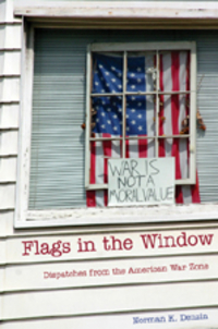 Book Cover for Flags in the Window by Norman K Denzin