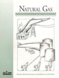 Book Cover for Natural Gas by World Bank Group