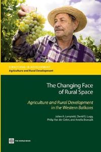 Book Cover for The Changing Face of Rural Space by Julian A Lampietti, World Bank