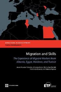 Book Cover for Migration and Skills by Jesús Alquézar Sabadie