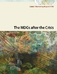 Book Cover for The MDGs After the Crisis by 