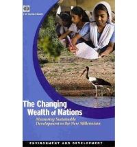 Book Cover for The Changing Wealth of Nations by World Bank