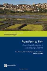 Book Cover for From Farm to Firm by Nora Dudwick