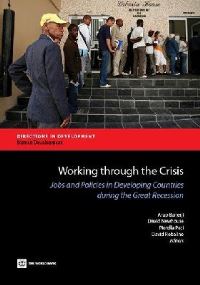Book Cover for Working Through the Crisis by Arup Banerji