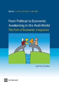 Book Cover for From Political to Economic Awakening in the Arab World by World Bank