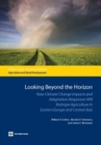 Book Cover for Looking Beyond the Horizon by William R Sutton, Jitendra Srivastava, James E Neumann