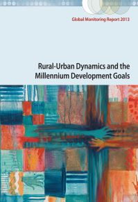 Book Cover for Rural-Urban Dynamics and the Millennium Development Goals by International Monetary Fund