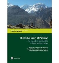 Book Cover for The Indus Basin of Pakistan by Winston H Yu, YiChen Yang, Andre Savitsky, D K Alford, Casey Brown, James L Wescoat, Dario Debowicz, Sherman Robinson, World Bank