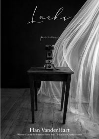 Book Cover for Larks by Han VanderHart