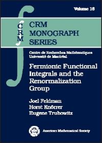 Book Cover for Fermionic Functional Integrals and the Renormalization Group by Joel S Feldman, Horst Knörrer, E Trubowitz