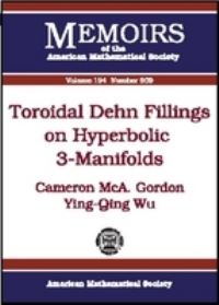 Book Cover for Toroidal Dehn Fillings on Hyperbolic 3-Manifolds by Cameron Gordon, YingQing Wu