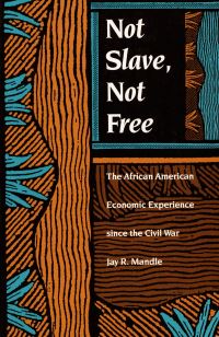 Book Cover for Not Slave, Not Free by Jay R Mandle