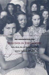Book Cover for Dulcinea in the Factory by Ann FarnsworthAlvear