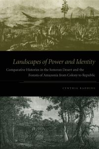 Book Cover for Landscapes of Power and Identity by Cynthia Radding