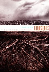 Book Cover for Understories by Jake Kosek