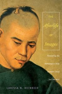 Book Cover for The Afterlife of Images by Larissa Heinrich