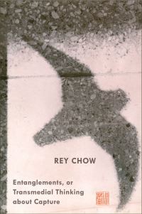 Book Cover for Entanglements by Rey Chow