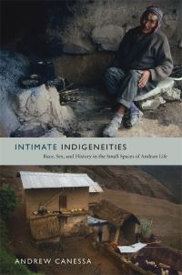 Book Cover for Intimate Indigeneities by Andrew Canessa