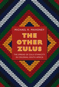 Book Cover for The Other Zulus by Michael R Mahoney