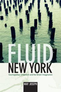 Book Cover for Fluid New York by May Joseph