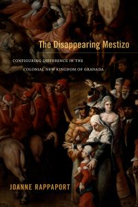 Book Cover for The Disappearing Mestizo by Joanne Rappaport