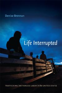 Book Cover for Life Interrupted by Denise Brennan
