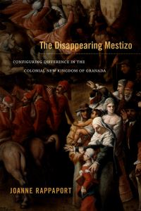 Book Cover for The Disappearing Mestizo by Joanne Rappaport