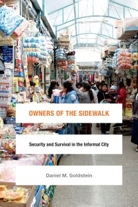 Book Cover for Owners of the Sidewalk by Daniel M Goldstein