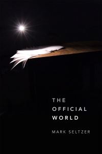 Book Cover for The Official World by Mark Seltzer