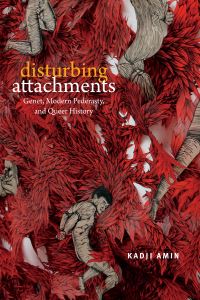 Book Cover for Disturbing Attachments by Kadji Amin
