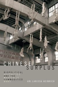 Book Cover for Chinese Surplus by Ari Larissa Heinrich