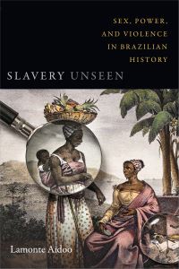 Book Cover for Slavery Unseen by Lamonte Aidoo