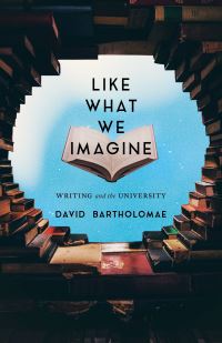 Book Cover for Like What We Imagine by David Bartholomae