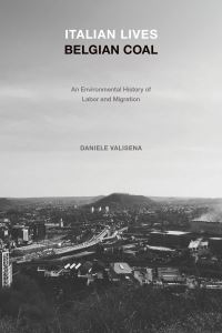 Book Cover for Italian Lives, Belgian Coal by Daniele Valisena