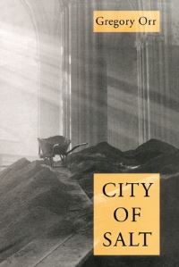 Book Cover for City of Salt by Gregory Orr