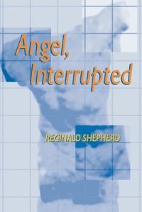 Book Cover for Angel Interrupted by Reginald Shepherd