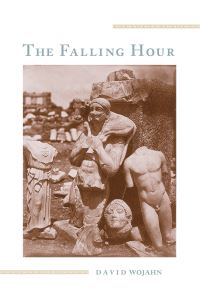 Book Cover for The Falling Hour by David Wojahn