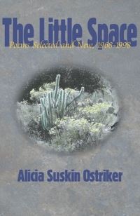 Book Cover for The Little Space by Alicia Ostriker