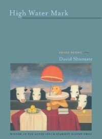 Book Cover for High Water Mark by David Shumate