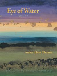 Book Cover for Eye of Water by Amber Flora Thomas