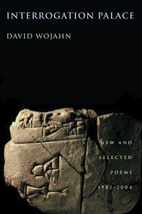 Book Cover for Interrogation Palace by David Wojahn