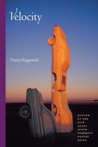 Book Cover for Velocity by Nancy Krygowski