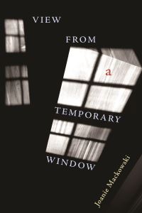 Book Cover for View from a Temporary Window by Joanie Mackowski