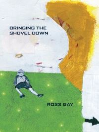 Book Cover for Bringing the Shovel Down by Ross Gay
