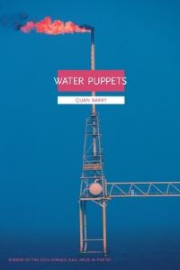 Book Cover for Water Puppets by Quan Barry