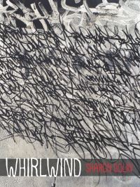 Book Cover for Whirlwind by Sharon Dolin, Ed Ochester